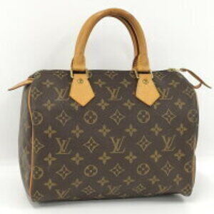 LOUIS VUITTON Speedy Handbag Monogram